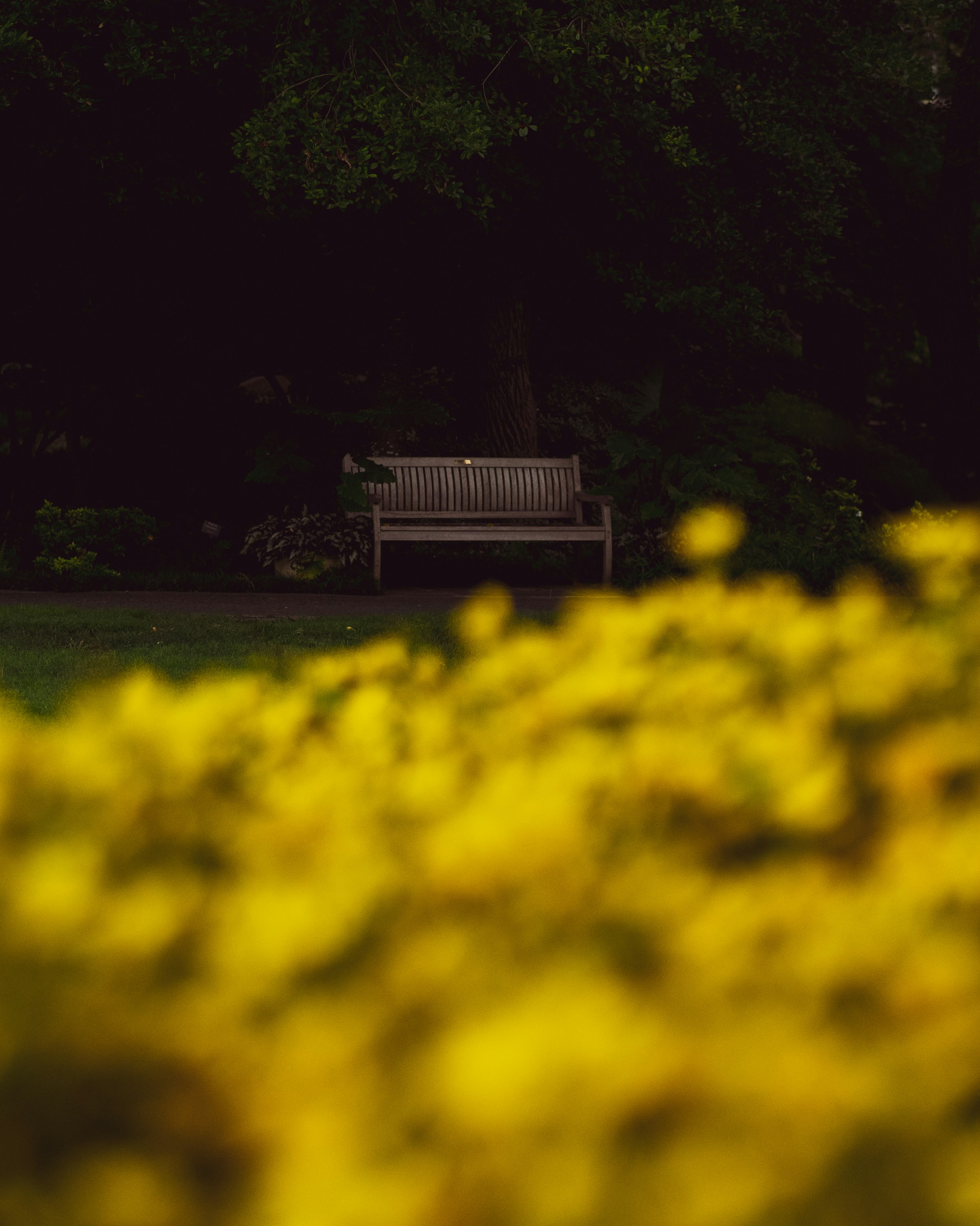 Photo by 535_productions