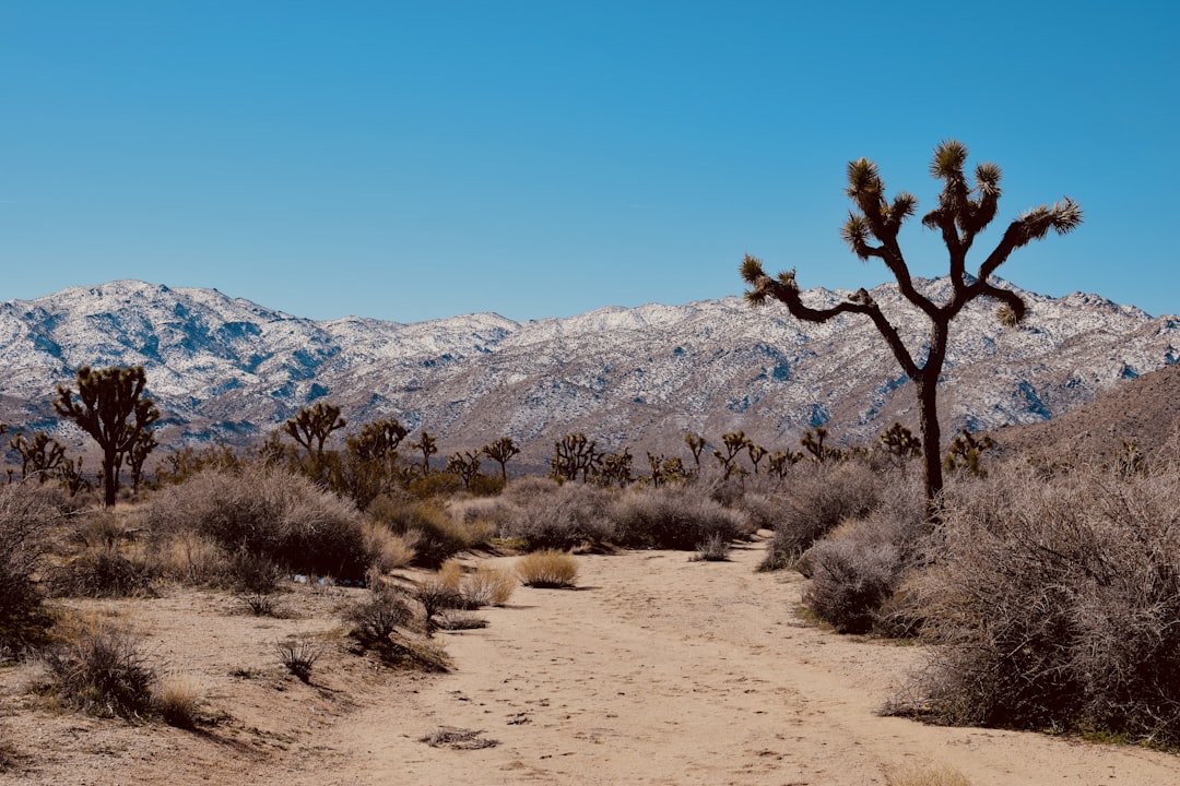 America the Beautiful: 10 Breathtaking Destinations to Experience t… — America the Beautiful