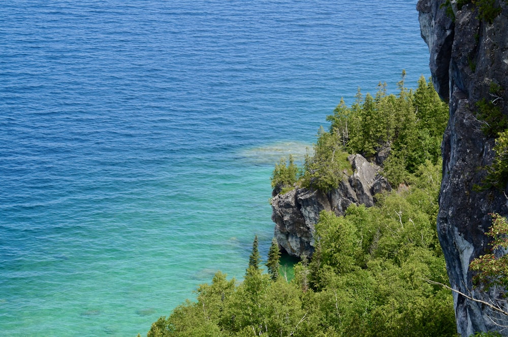 green trees on rocky mountain beside blue sea during daytime