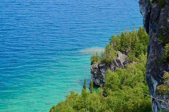 Lion's Head things to do in Northern Bruce Peninsula