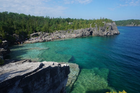 green body of water near green trees during daytime in Bruce Peninsula National Park Canada
