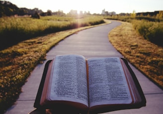 opened book on brown field during daytime