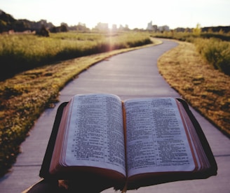 opened book on brown field during daytime