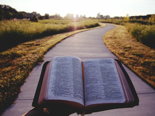 An open Bible held up against a backdrop of a winding path that leads through a grassy field, with the sun setting in the distance casting a warm glow over the scene.