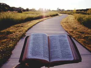An open Bible held up against a backdrop of a winding path that leads through a grassy field, with the sun setting in the distance casting a warm glow over the scene.