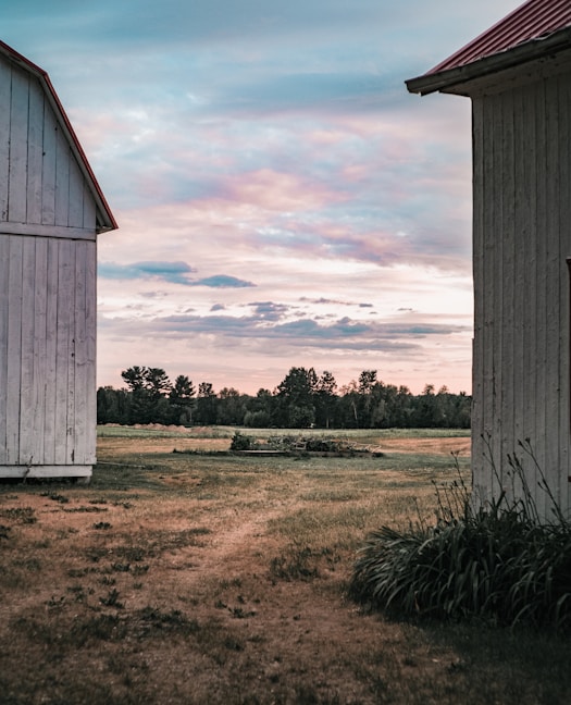 white wooden house on green grass field under cloudy sky during daytime