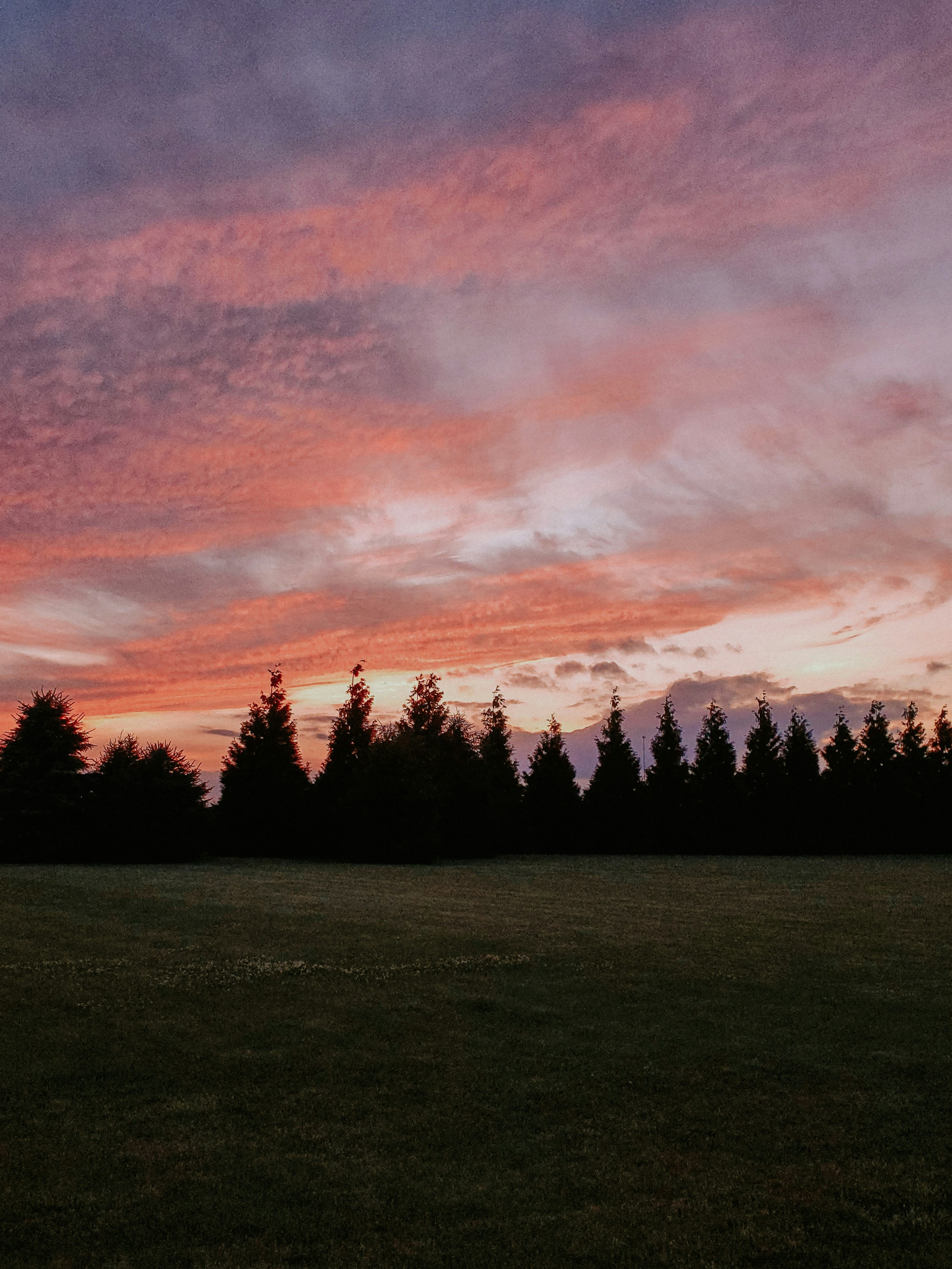 Green grass field with trees under cloudy sky during daytime photo ...