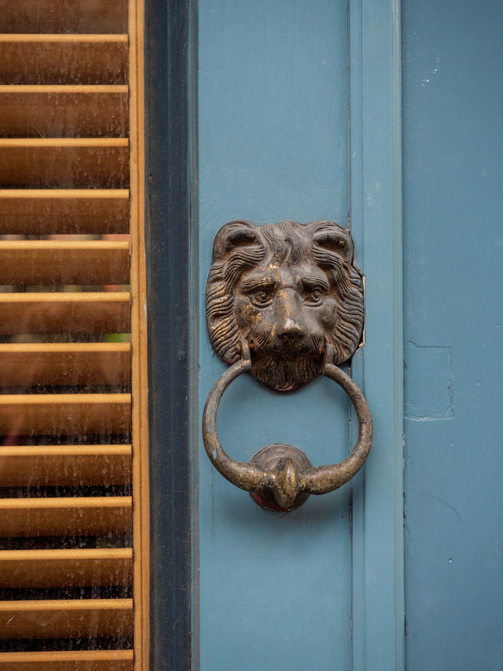 grey lion door handle on blue wooden door