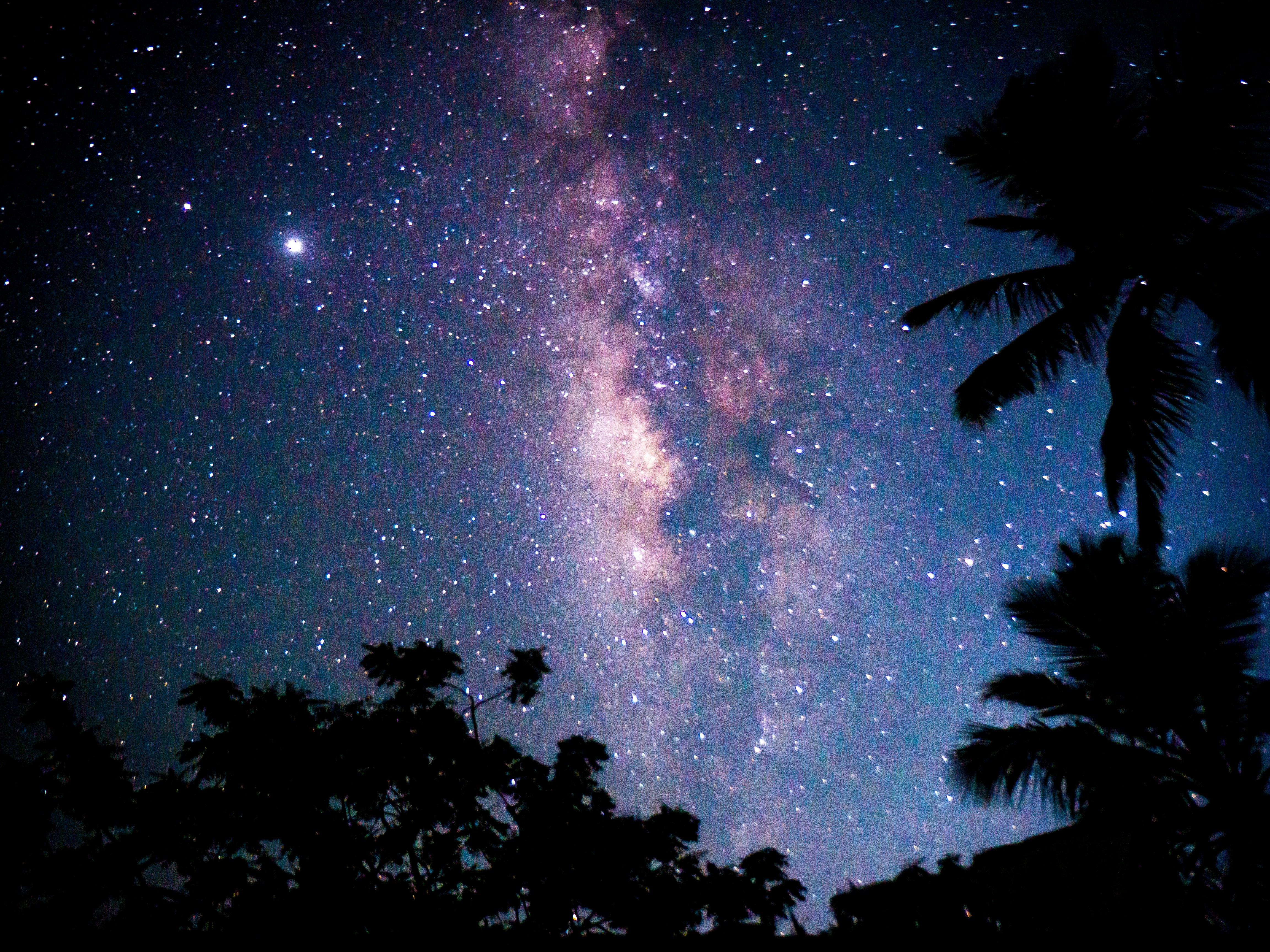 Photo by vardhan20