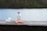 orange and white plastic bottle on brown wooden table