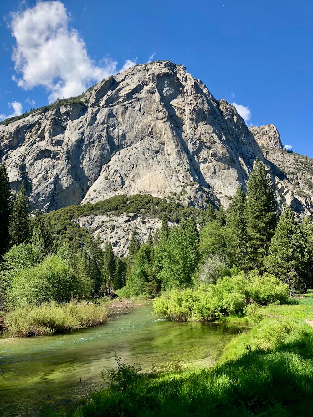 green trees near lake and mountain under blue sky during daytime