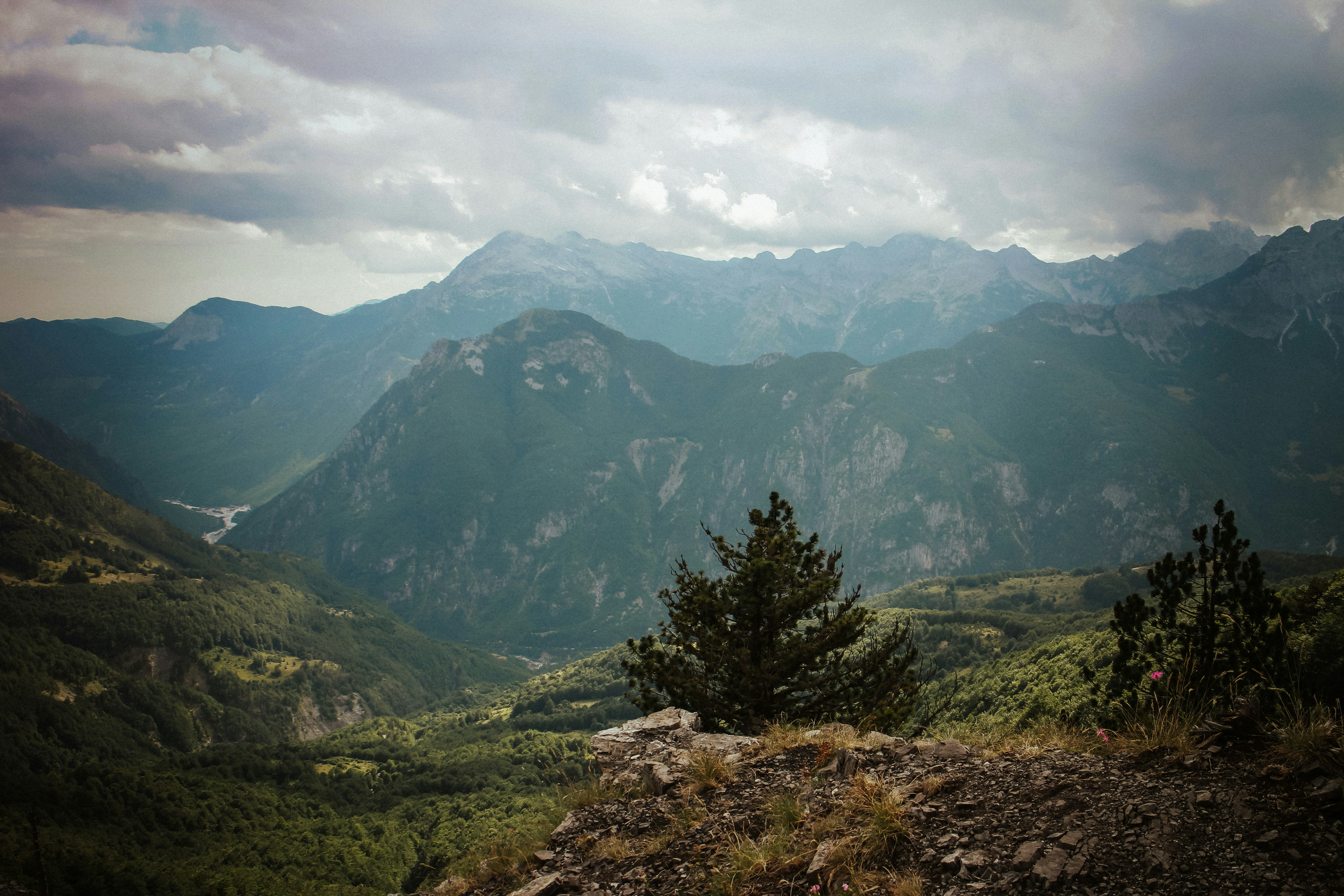 Photo by agiszabo_foto