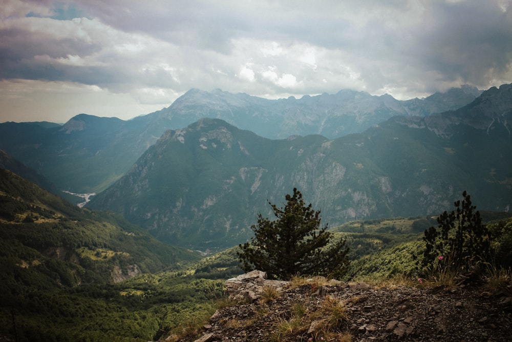 green trees on green grass field near mountain under white clouds during daytime