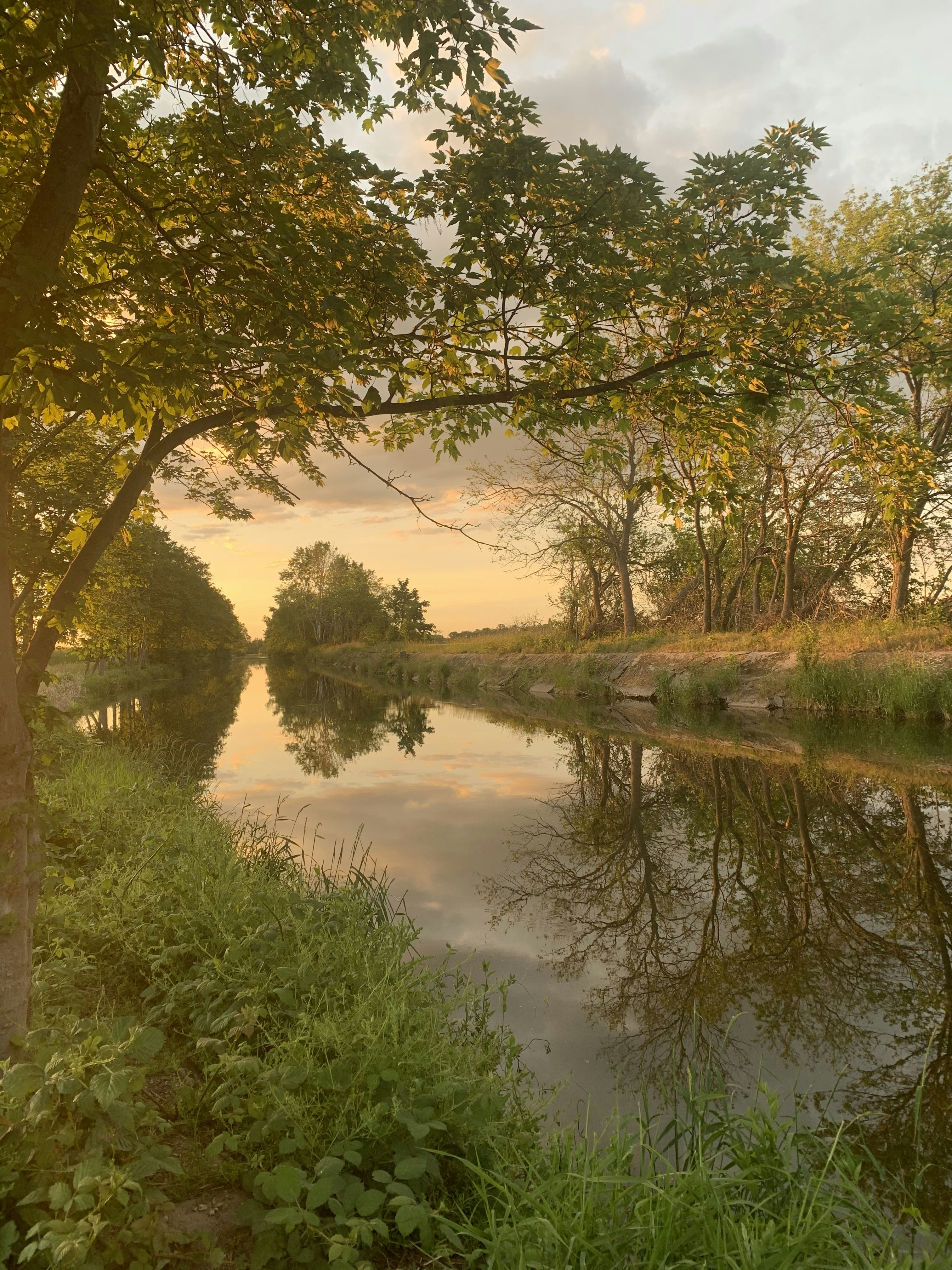 Photo by tobileipzig