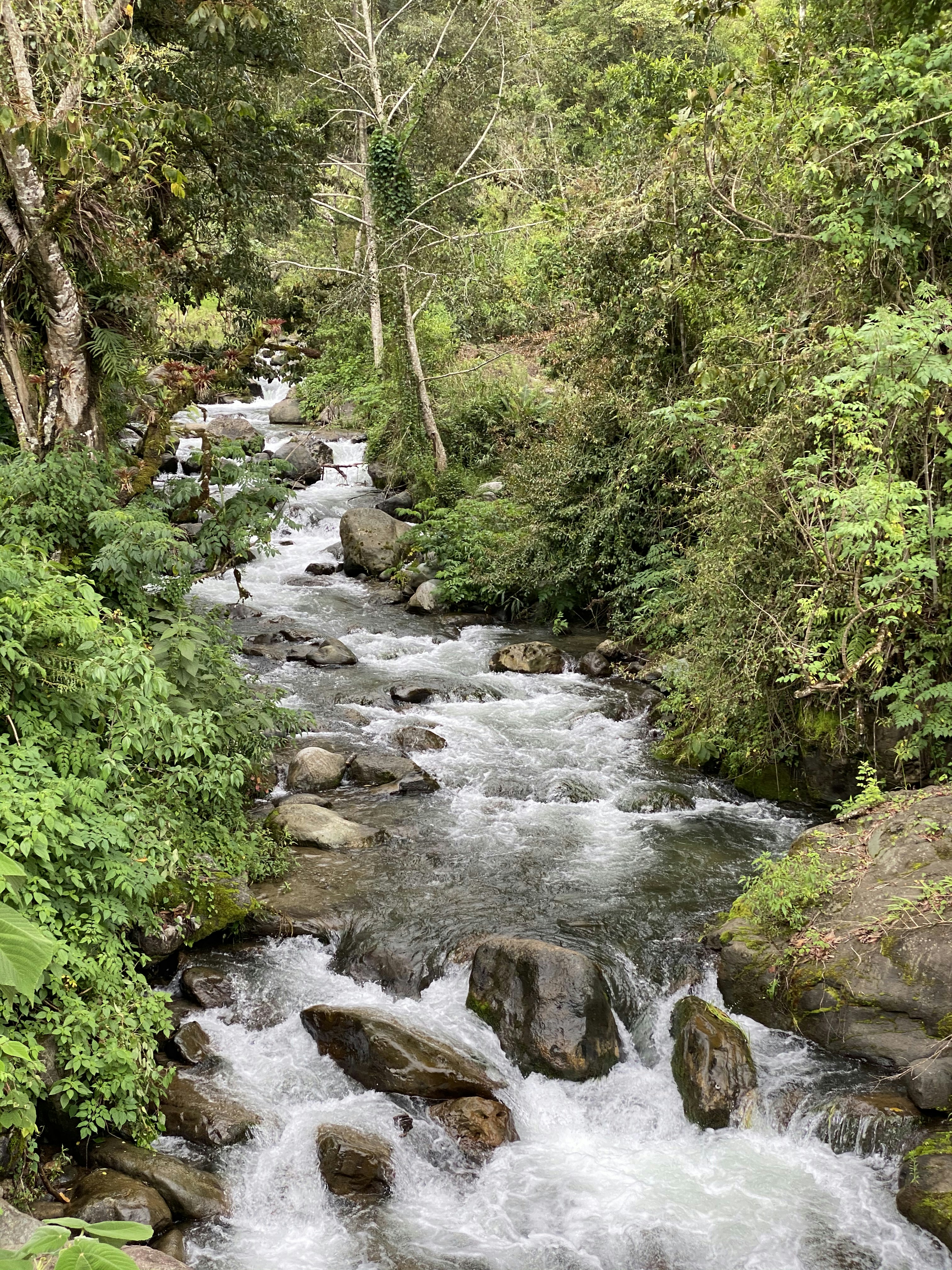 Leave No Trace Mastery: Beyond the Basics of Minimum Impact