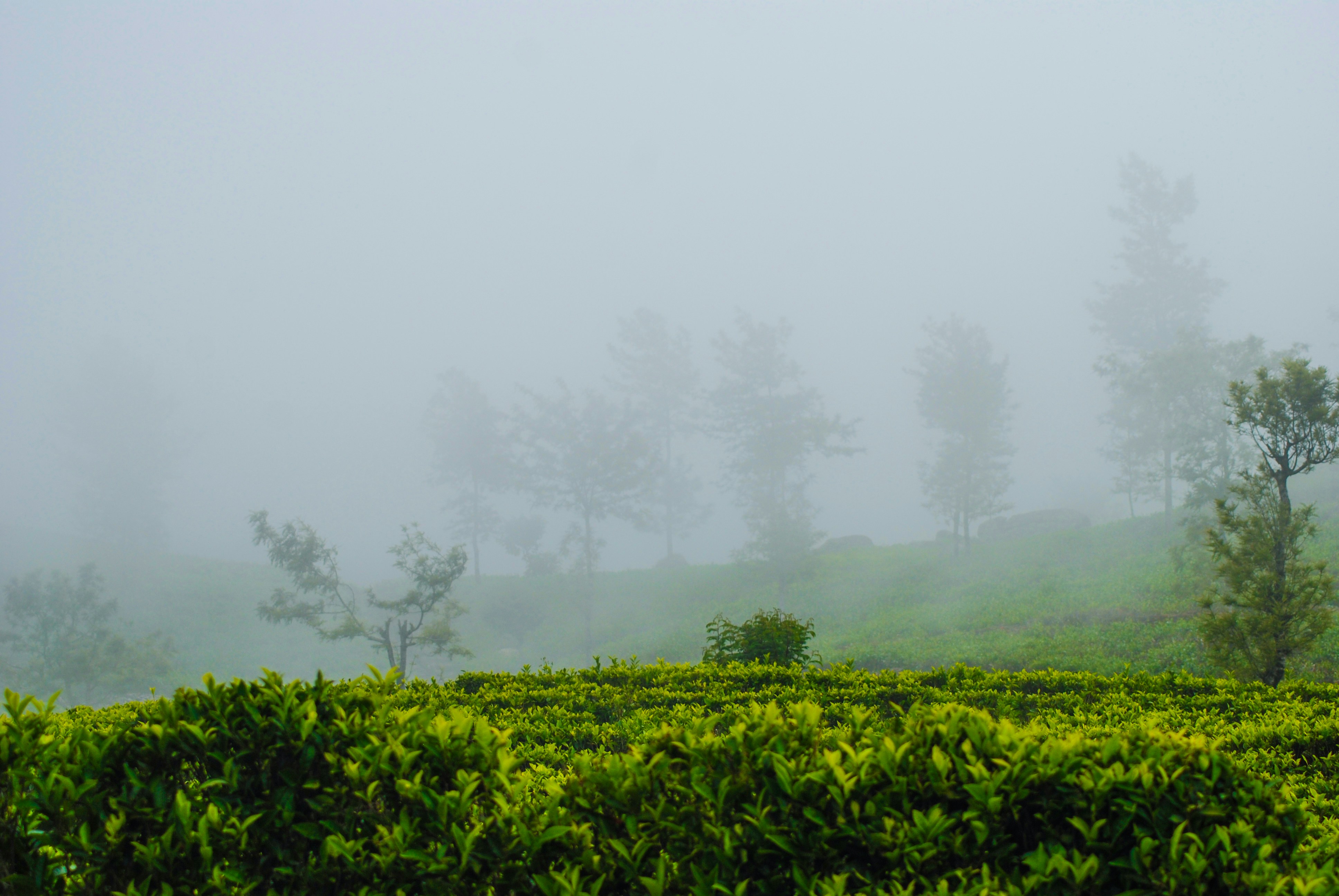 Photo by jey360creations