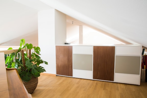 green potted plant on brown wooden floor