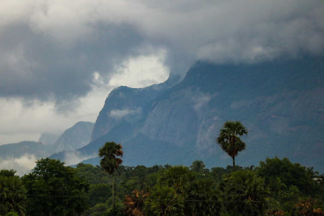 Jungle photo spot Kerala Kerala