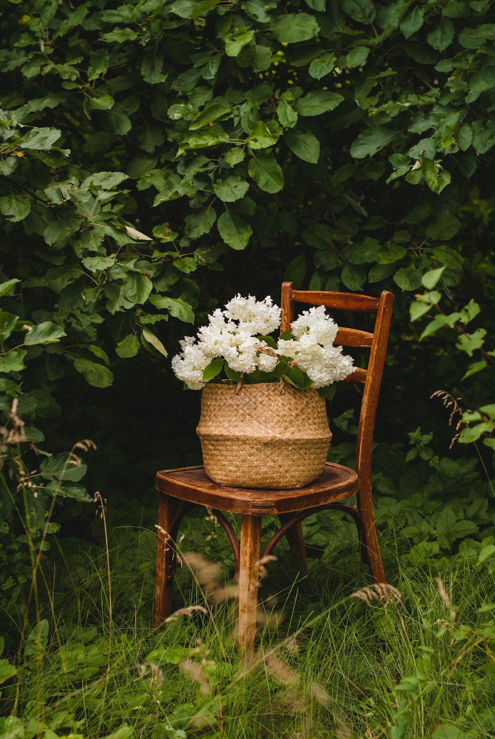 white flowers in brown woven basket on brown wooden chair