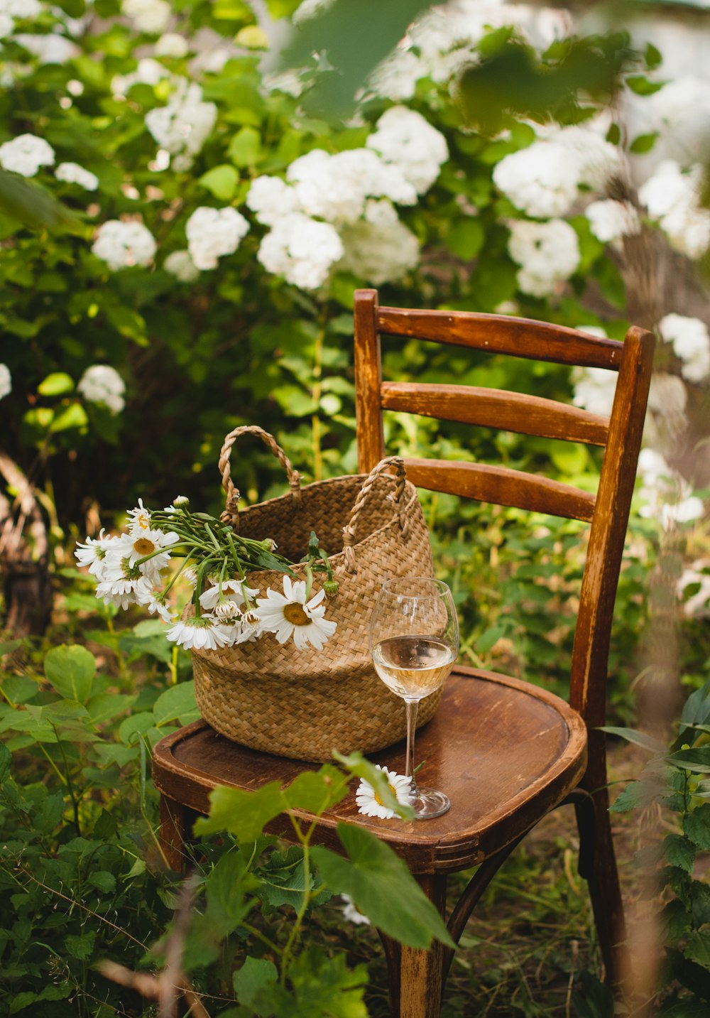 white flowers in brown woven basket on brown wooden table