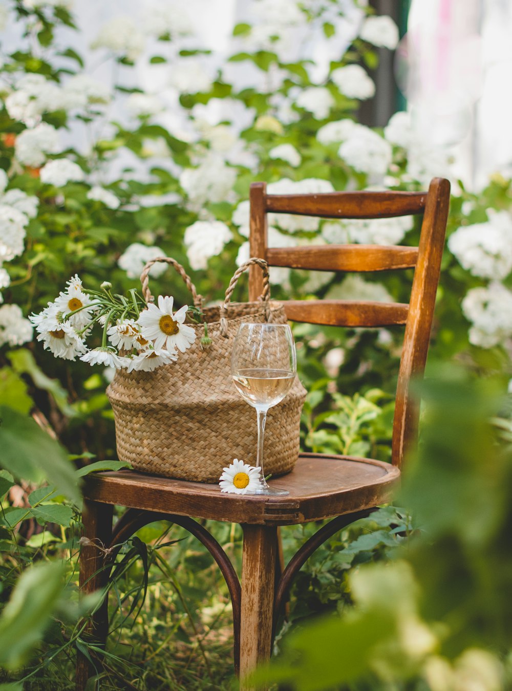 white flowers in brown woven basket on brown wooden chair