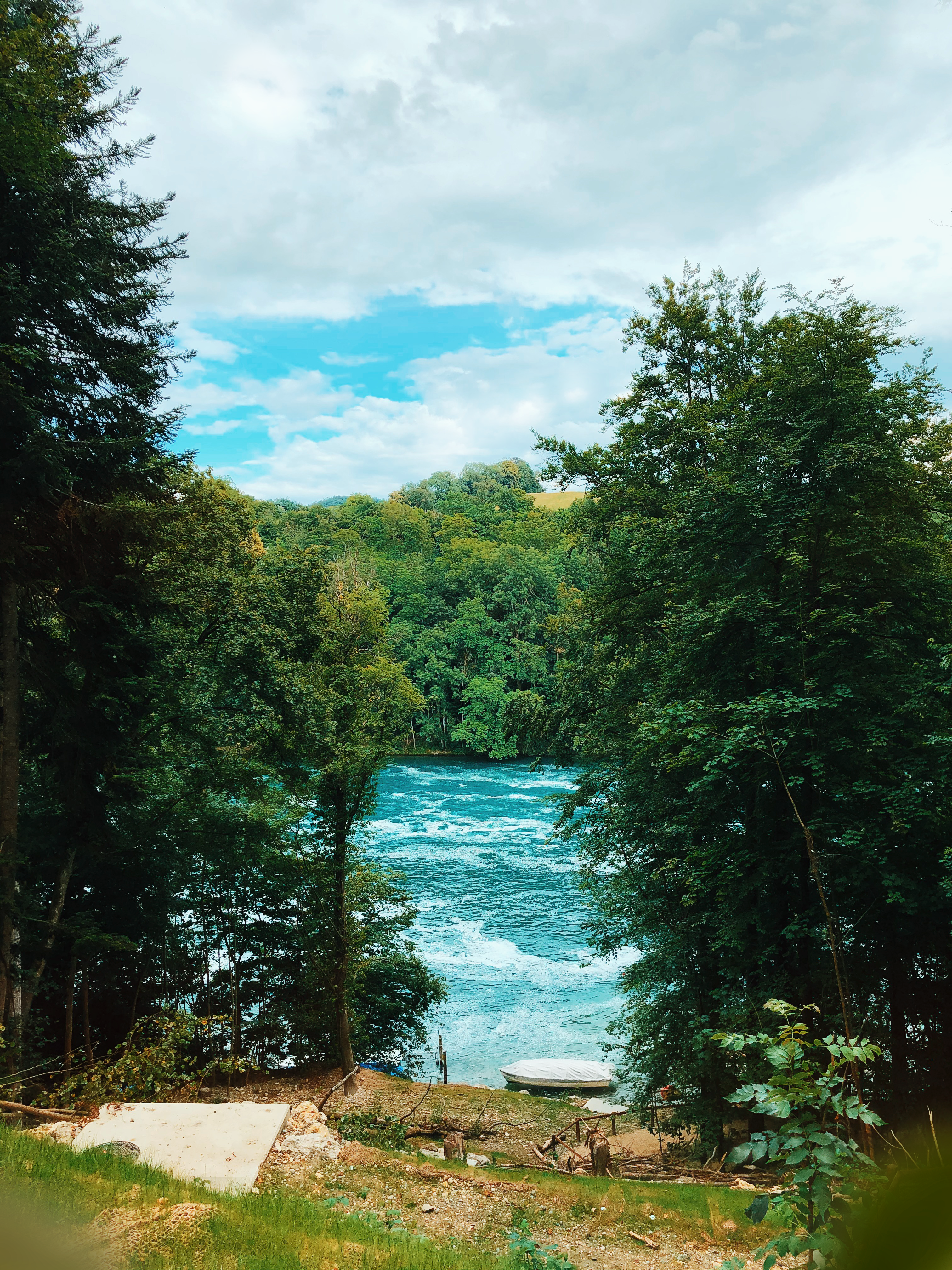 green trees beside river under blue sky during daytime