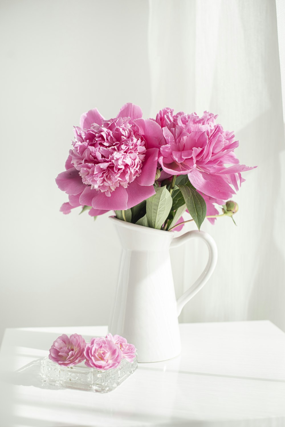 pink and white flowers in white ceramic vase