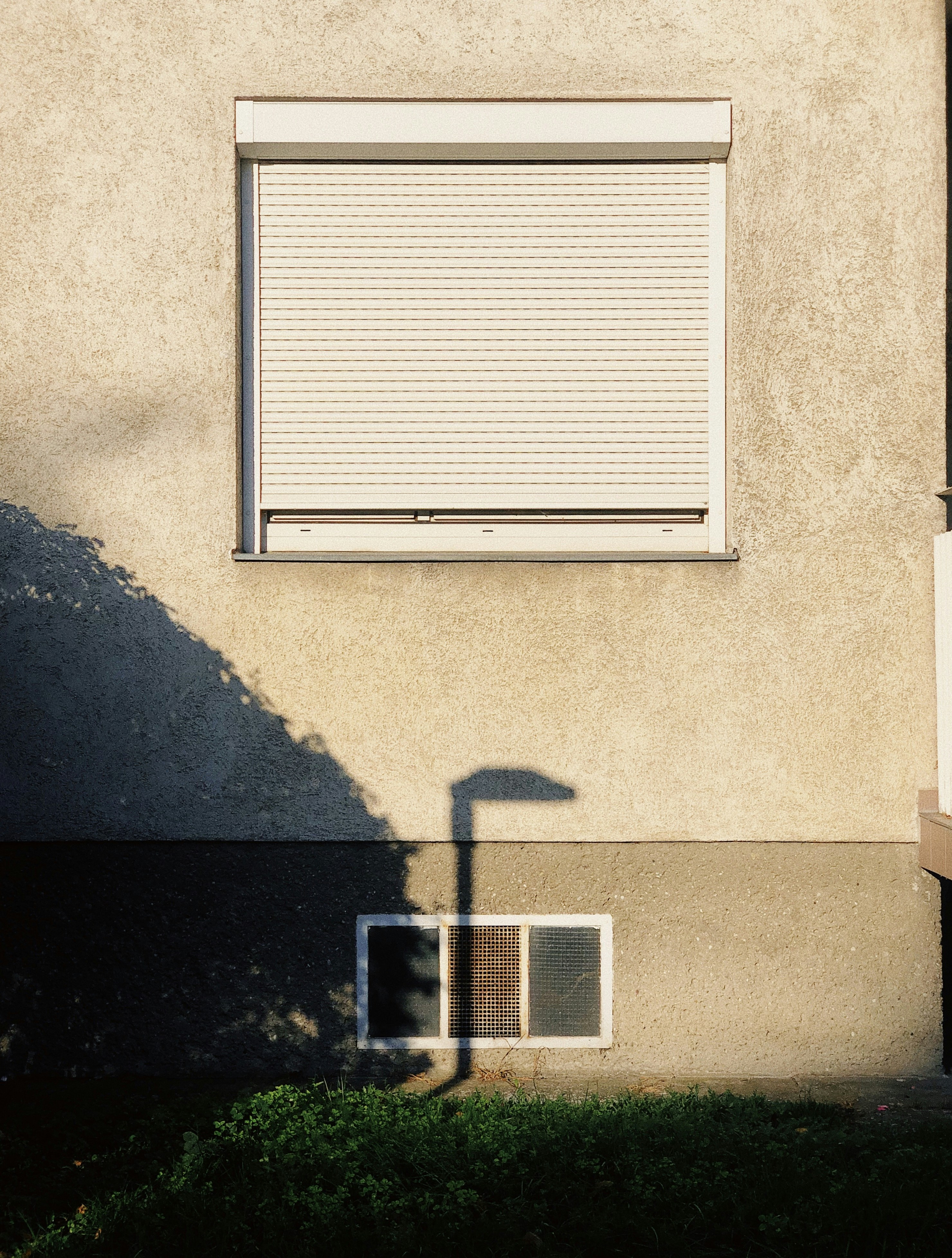 Photo by shandranick