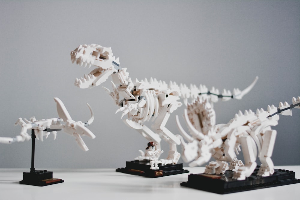 scheletro animale bianco e nero