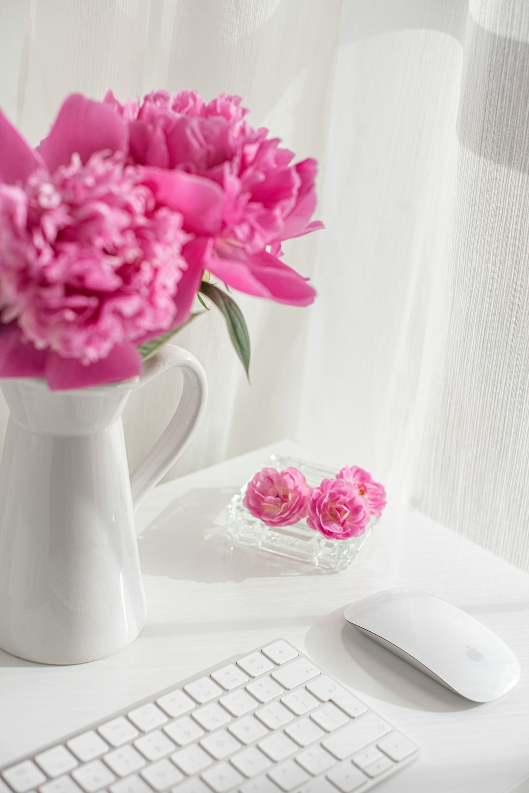pink flowers in white ceramic vase on table