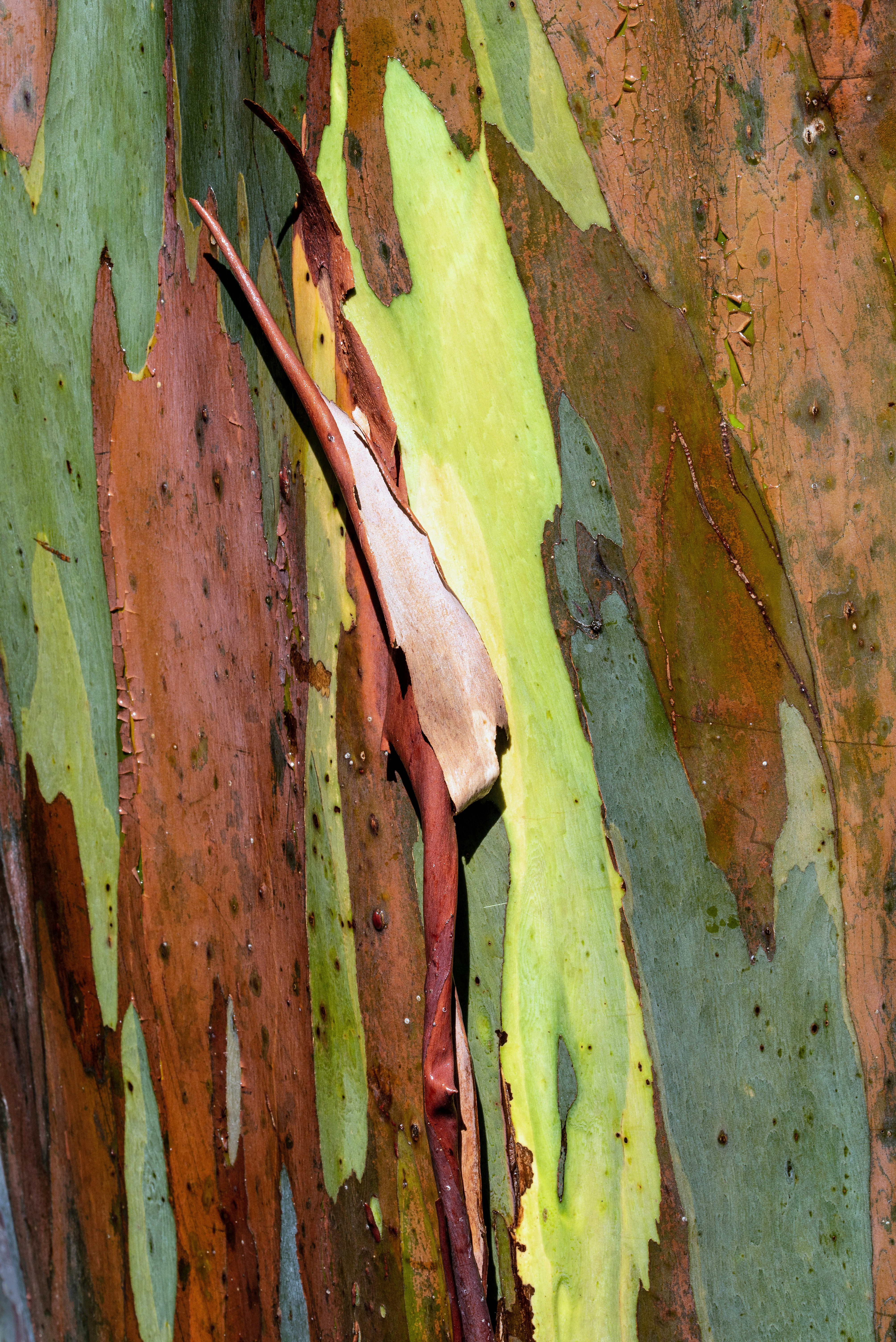 The Ingenious Housing Hacks of Urban Poor