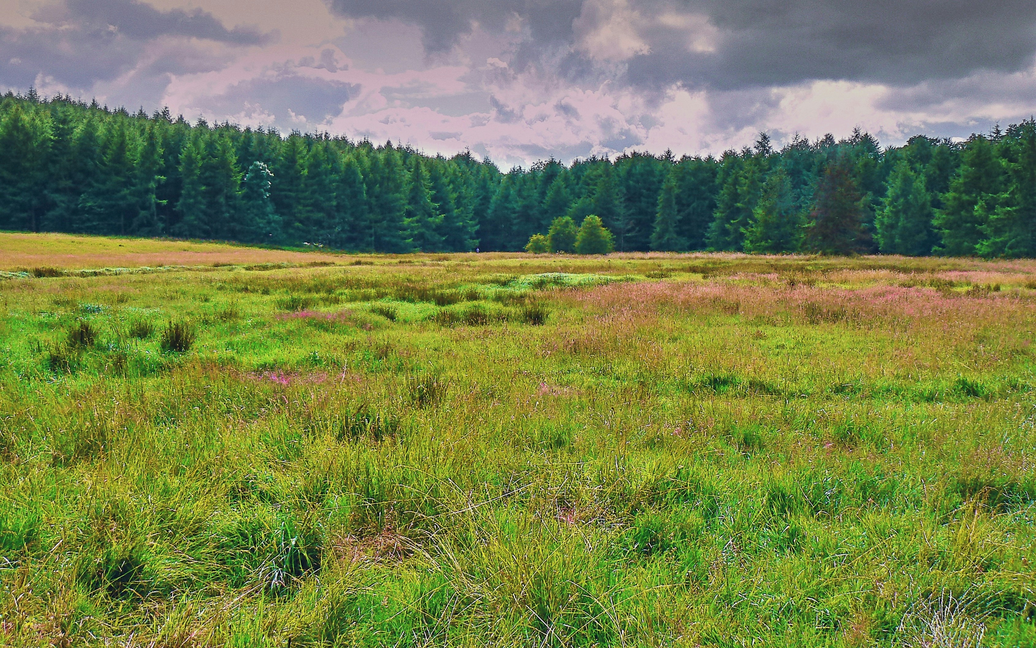 Photo by kmitchhodge