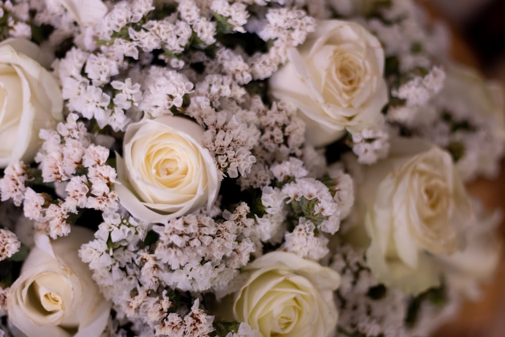 white rose bouquet on white textile