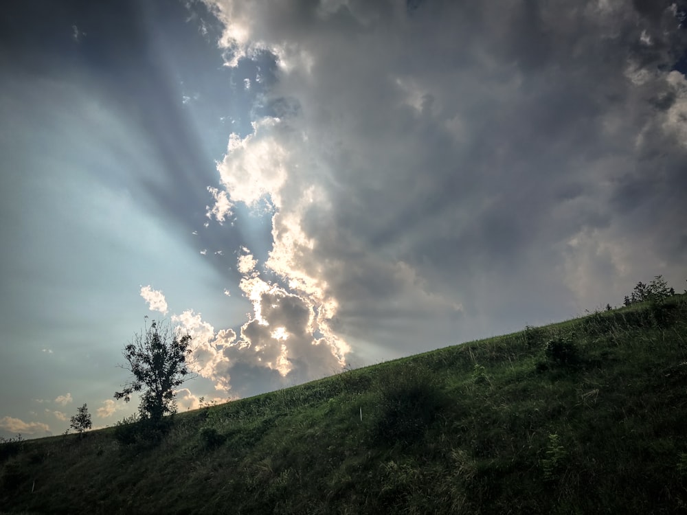 green grass field under blue sky and white clouds during daytime