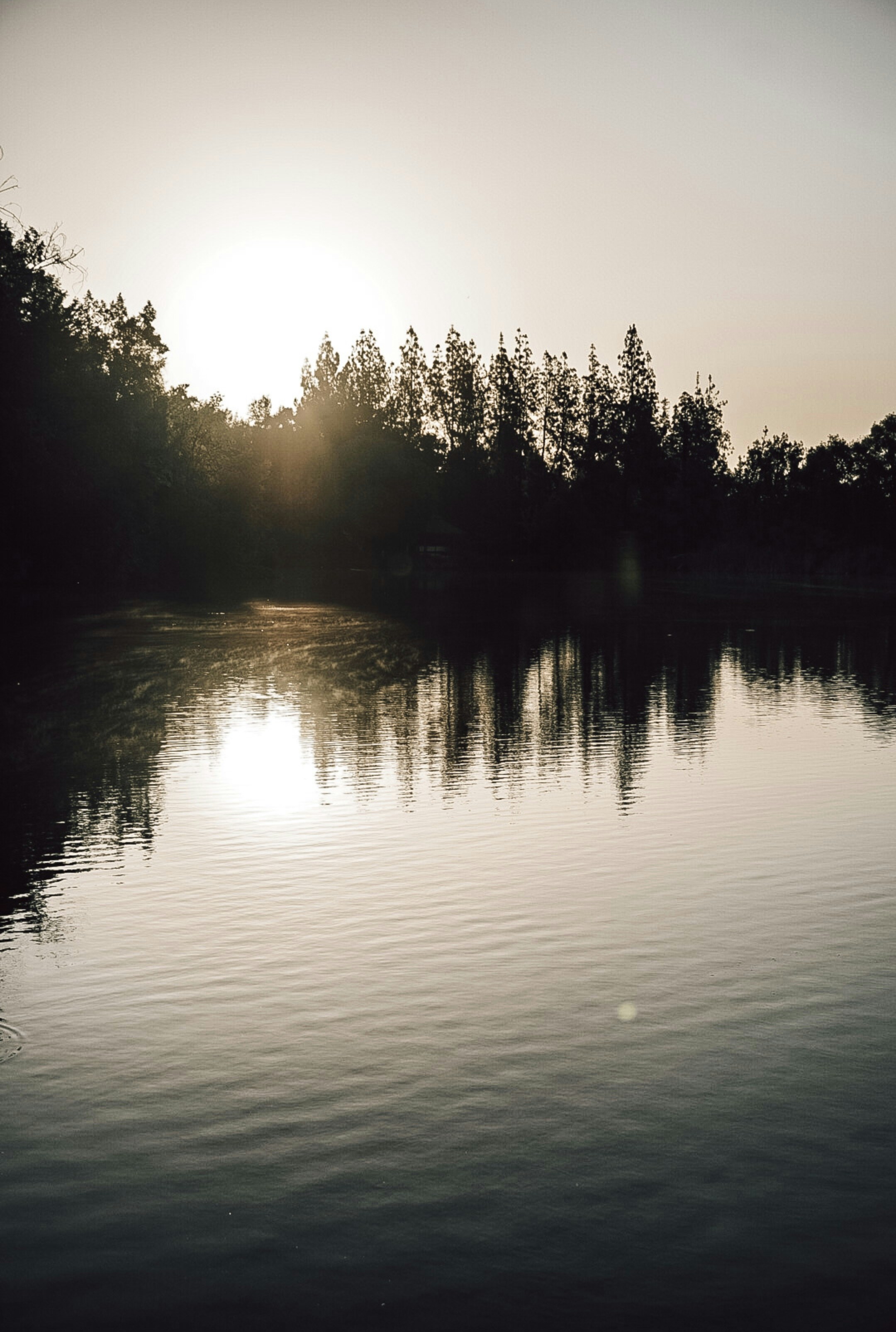 Photo by thalia_s_ruiz