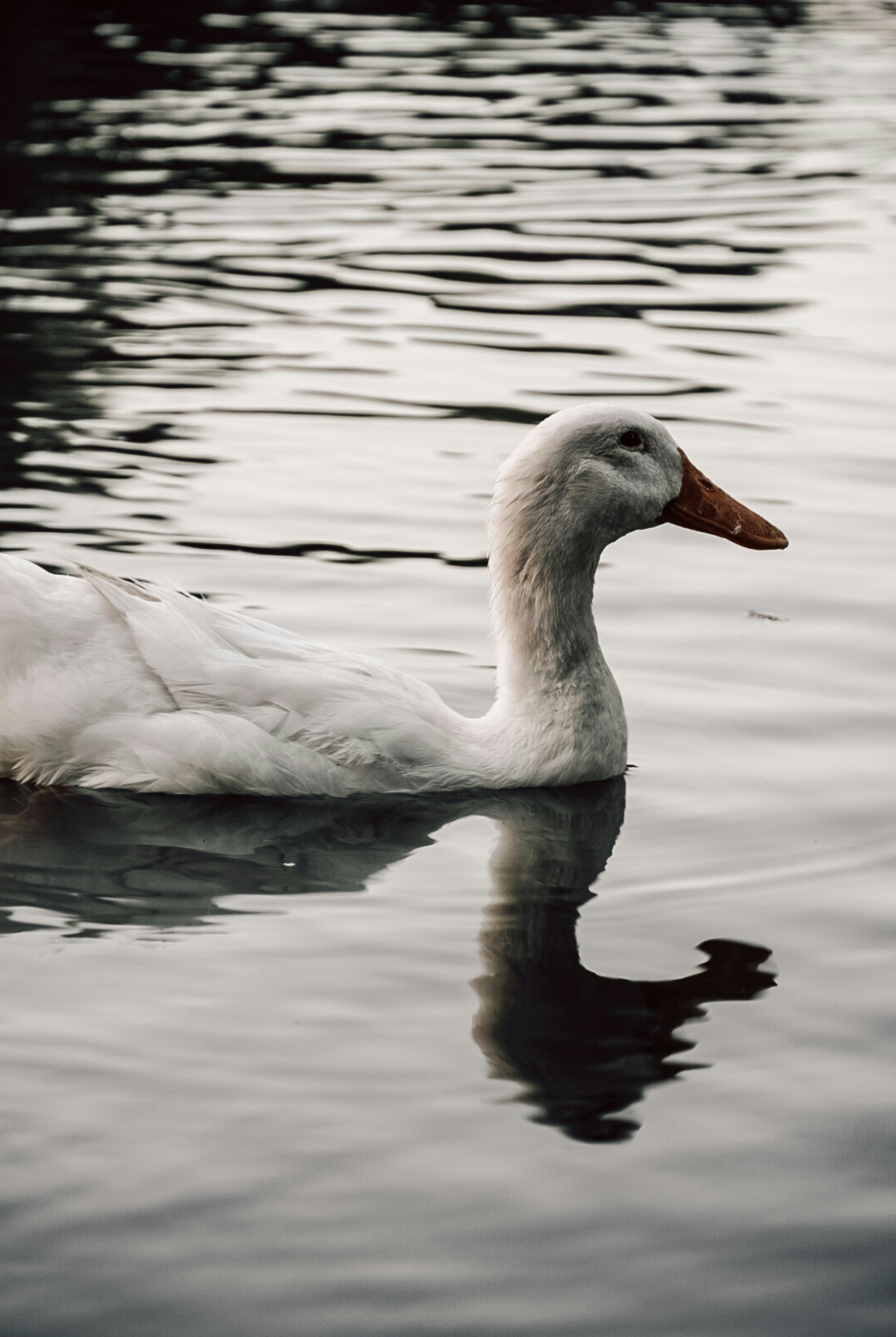 Photo by thalia_s_ruiz