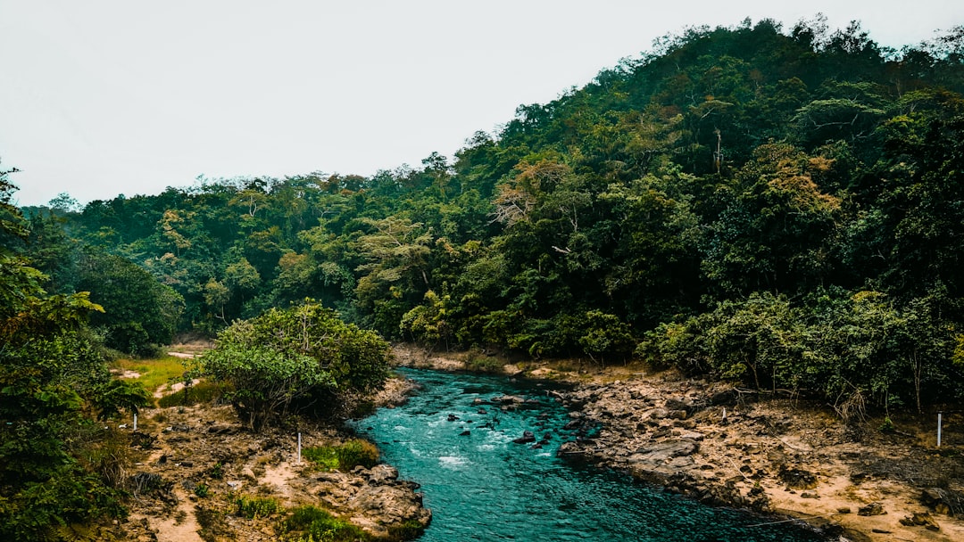 Jungle photo spot Maredumilli Andhra Pradesh