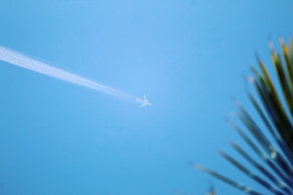 A sunny vacation spot featuring a jetliner soaring in the bright blue sky.
