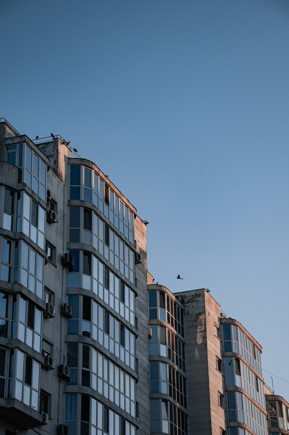 brown and white concrete building under blue sky during daytime