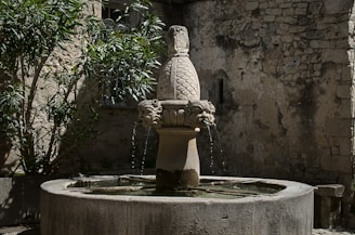 An old stone fountain in the heart of Rohan, surrounded by blooming flowers.