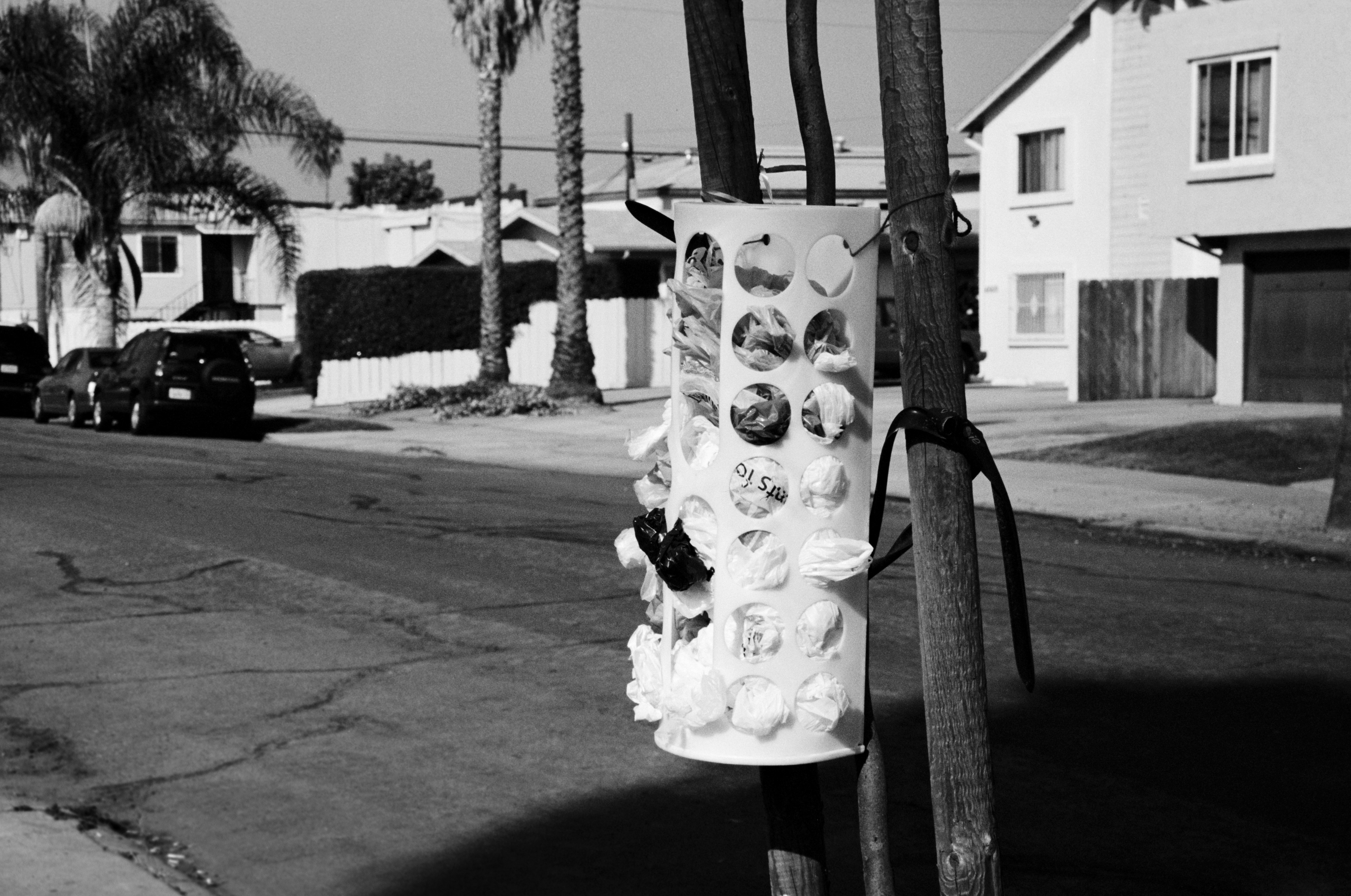 grayscale photo of person in dress standing on sidewalk