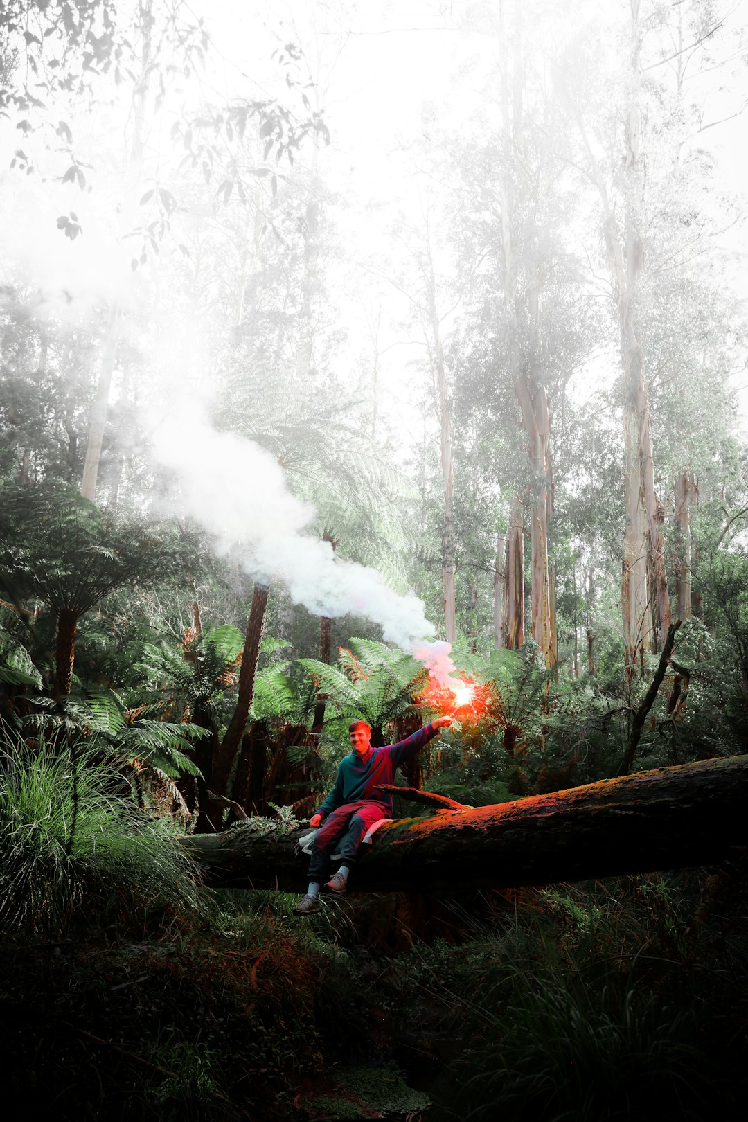 man in red jacket and blue denim jeans standing on brown tree log