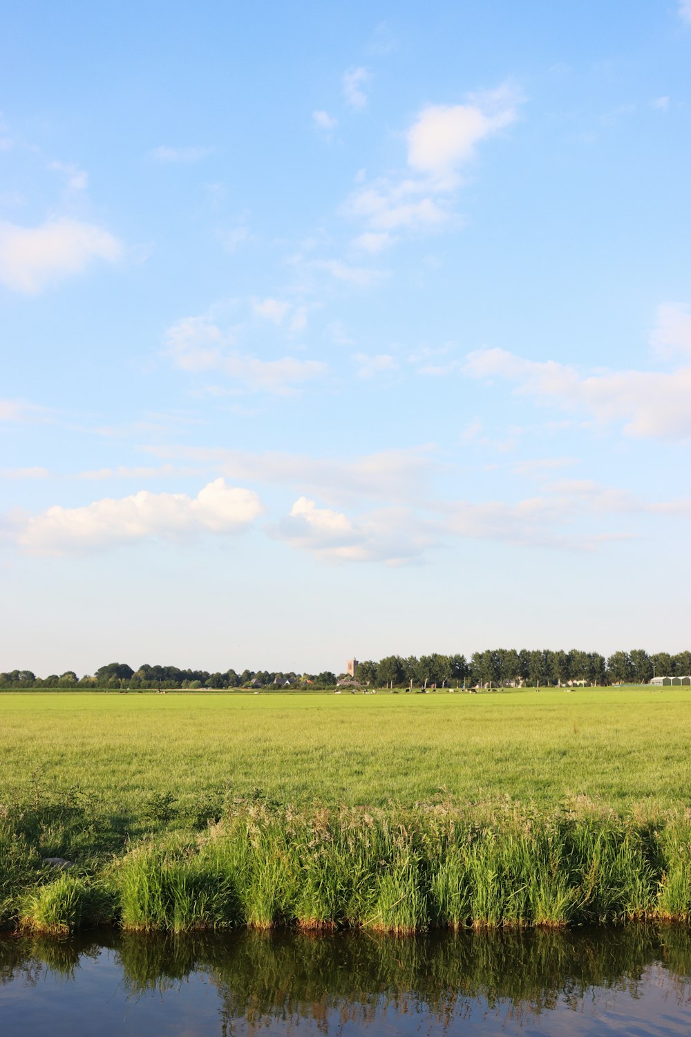 green grass field under blue sky during daytime