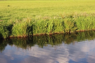 A serene water landscape showcasing our water management services.