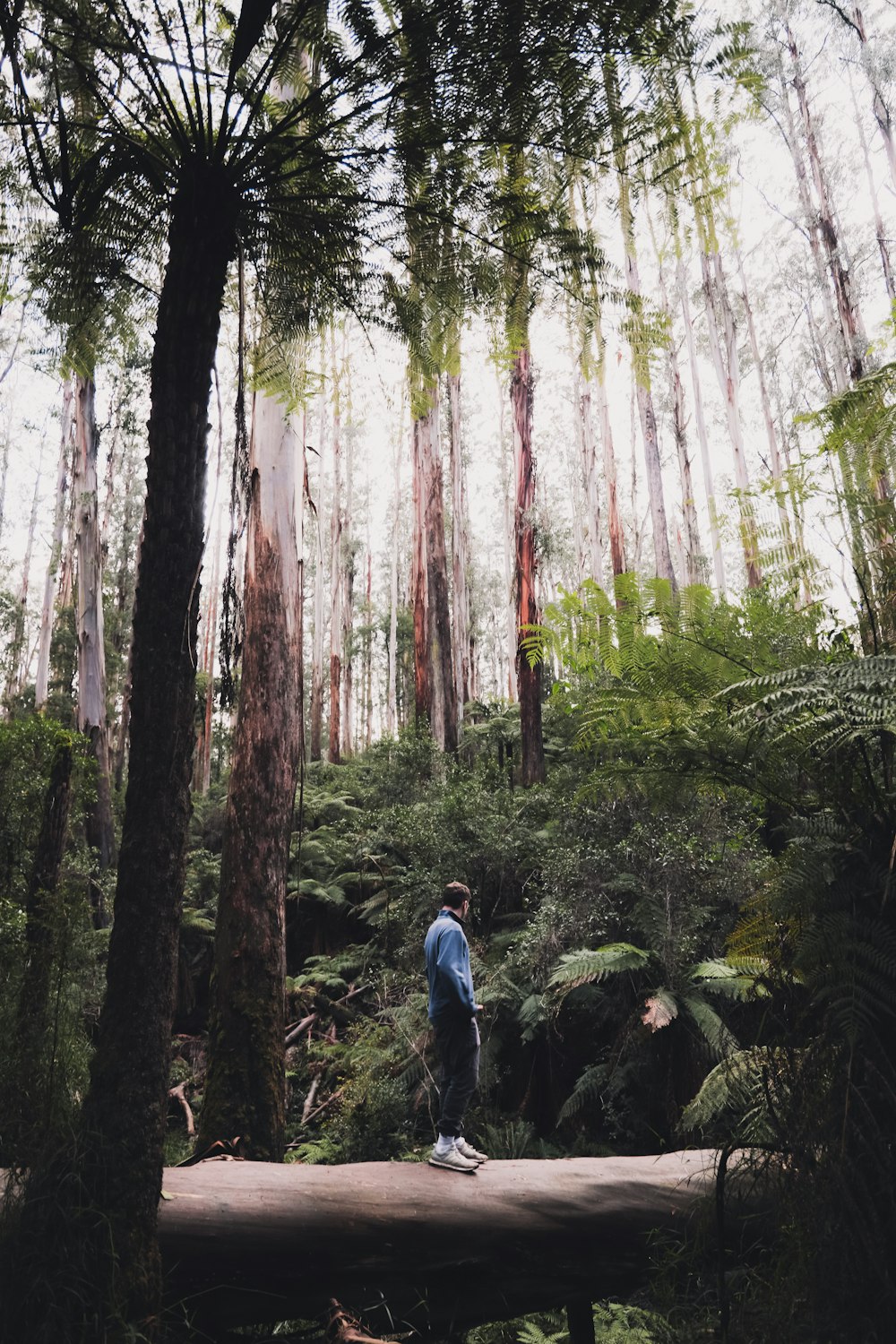 man in white t-shirt and blue denim jeans standing on forest during daytime