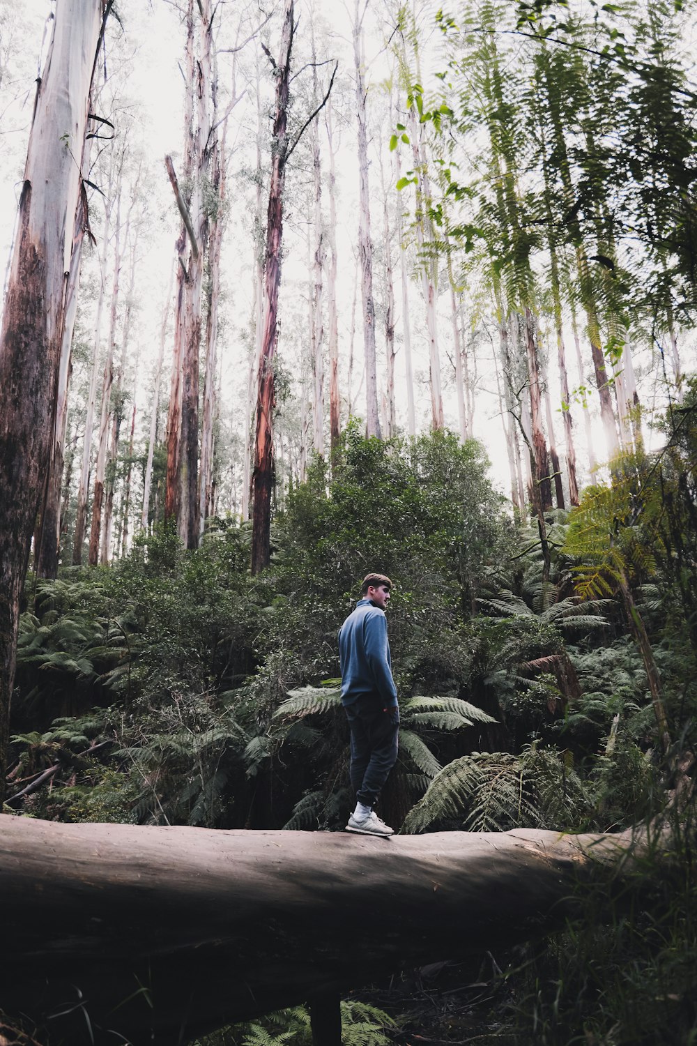 woman in blue jacket and blue denim jeans standing on brown wooden log in forest during