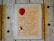 A framed poster with text that outlines the right to freedom of movement and residence within national borders. The poster is adorned with a large red balloon and an illustration of a figure holding onto the balloon string. The frame and wall have a rustic, textured appearance.