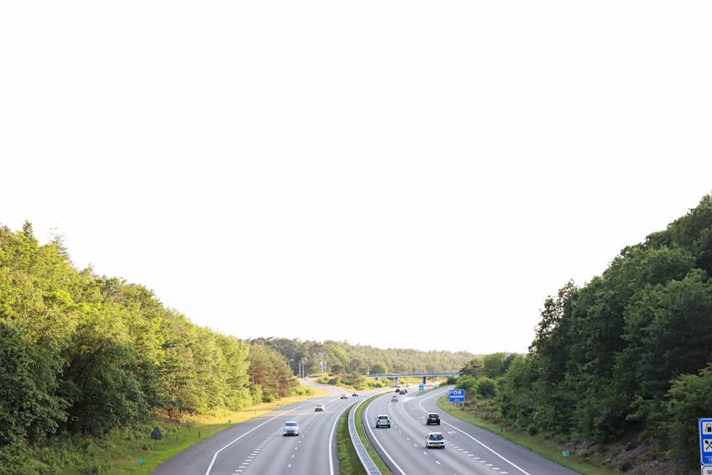 gray concrete road between green trees under white sky during daytime