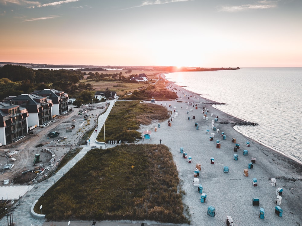 people on beach during daytime