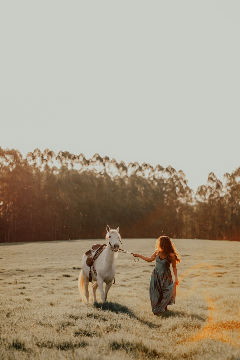 woman in blue denim jacket riding white horse during daytime
